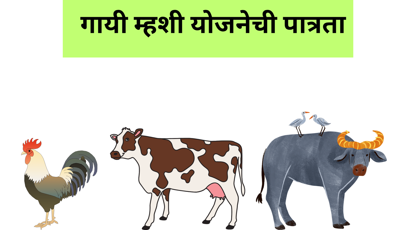 Purchasing Cows and Buffaloes 2