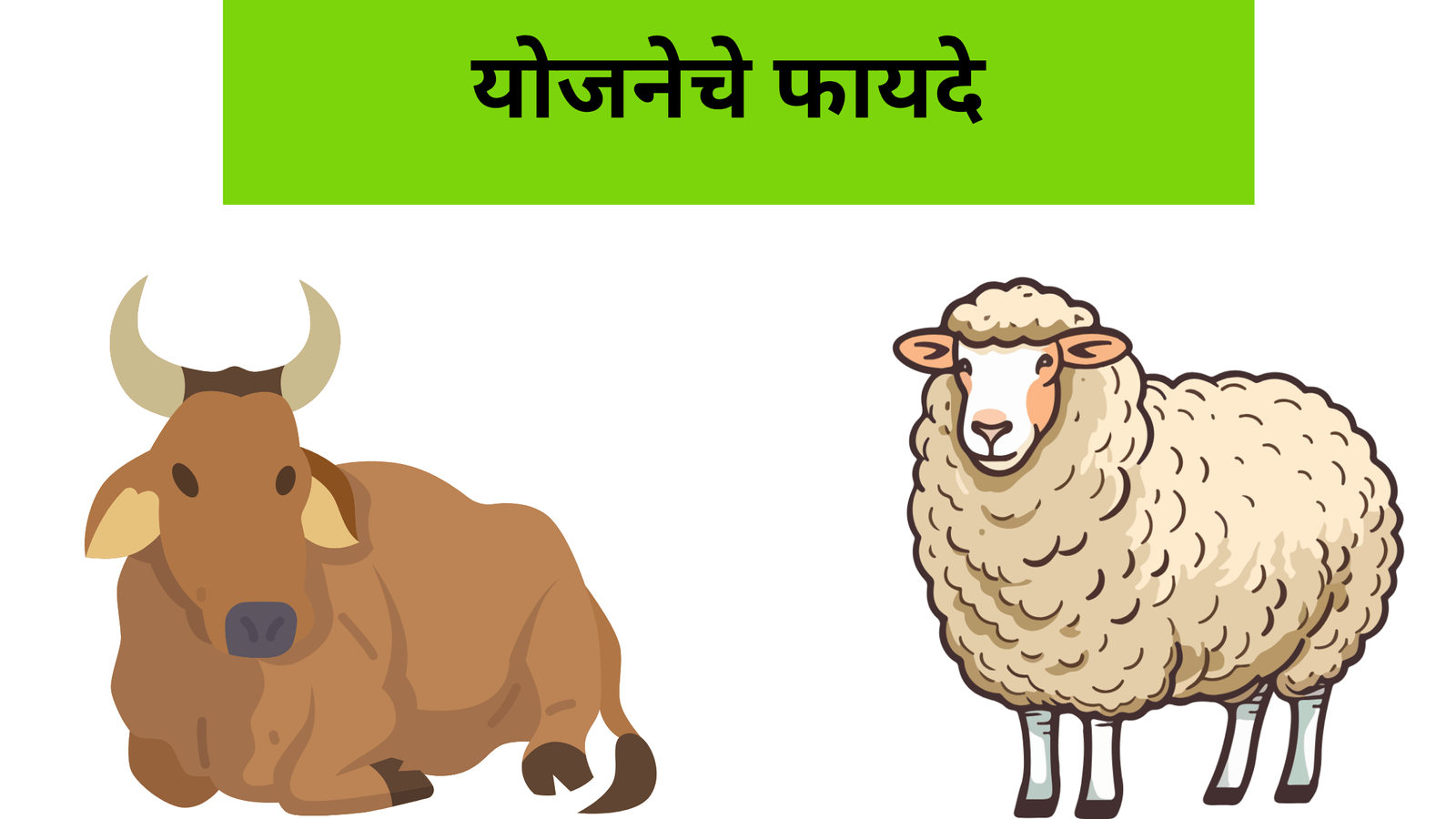 Purchasing Cows and Buffaloes 3
