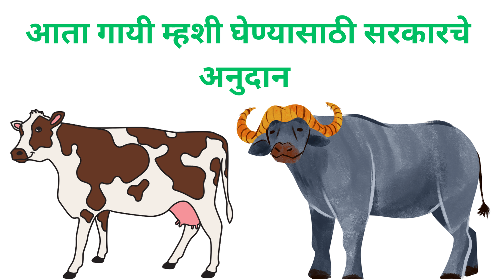 Purchasing Cows and Buffaloes